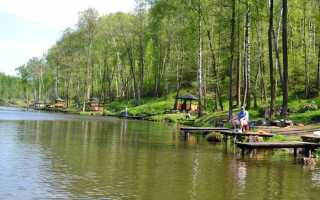 Рыболовный парк «Лагуна»