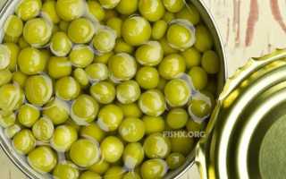 В записную книжку: растительные насадки