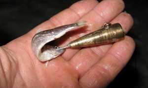 Ловля налима зимой на вятке