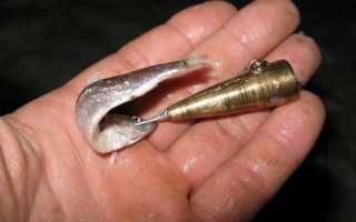 Ловля налима зимой на вятке