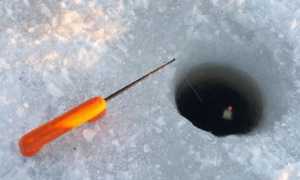 Зимой на обычную удочку