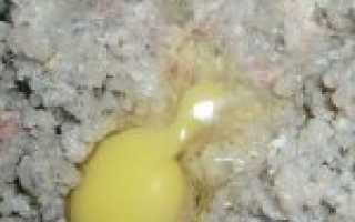 Готовим котлеты из речного окуня