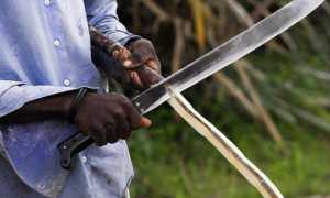 Как сделать мачете своими руками: схема и инструкция