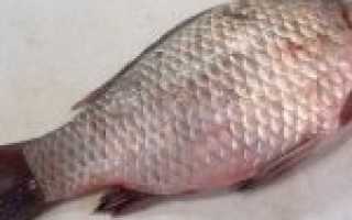 Как почистить кету в домашних условиях