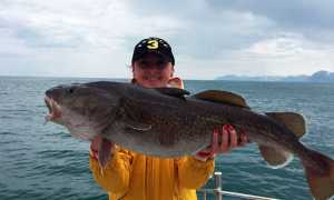 Снасти для ловли трески