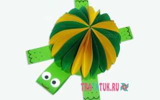 Аппликация «Черепаха» из бумаги и пластилина (с шаблоном)