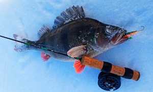 Ловля на спиннинг ночью