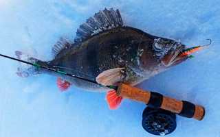 Ловля на спиннинг ночью