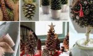 Как покрасить шишки для поделок в разные цвета: советы и видео уроки