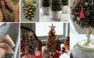 Как покрасить шишки для поделок в разные цвета: советы и видео уроки