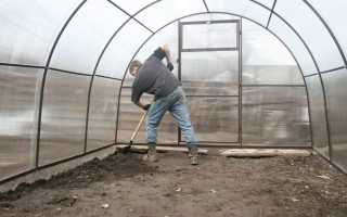 Чем и как обработать теплицу после сбора урожая осенью