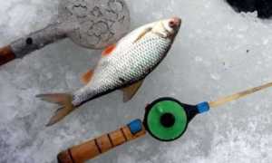 Ловля на мушку в конце весны