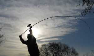 Карповые удилища для дальнего заброса