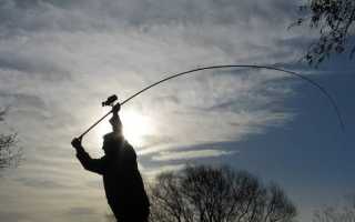 Карповые удилища для дальнего заброса