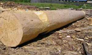 Домик Бабы Яги своими руками: творчество дома и на даче