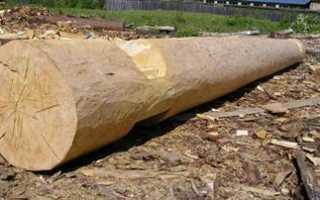 Домик Бабы Яги своими руками: творчество дома и на даче