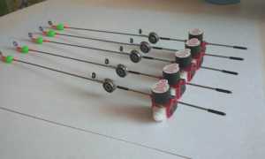 “Удочка Щербакова” из летней удочки