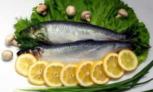 Готовим вкусную рыбу или как правильно замариновать толстолобика